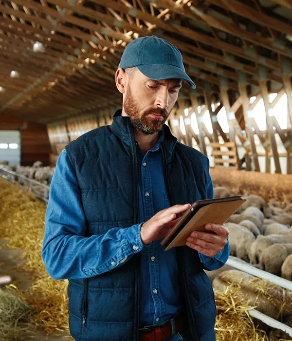 Secured loan NZ through Lending Room